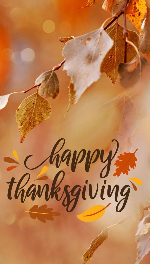 Vertical Happy Thanksgiving Fall Photo Digital Signage